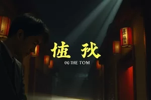 纪实作品旧相机计划海报封面